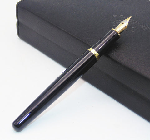 Business Fountain Pen w/ Gold Trim