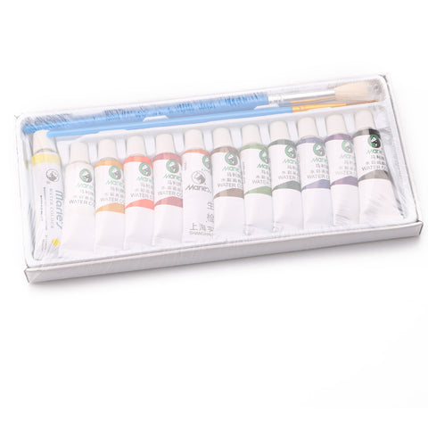 Professional Watercolor Set