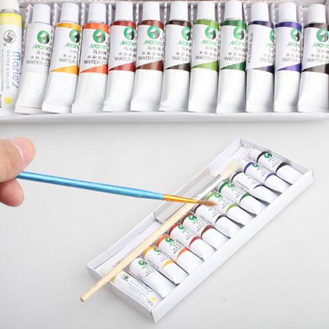 Professional Watercolor Set